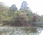 20100604164150.jpg