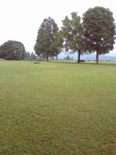 100604_1910~01.JPG